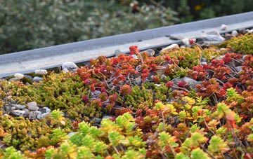 the cost of Manson Green green roof installation