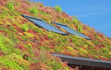 Manson Green living roof systems